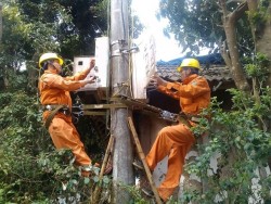 Công ty Điện lực Điện Biên: Mục tiêu giảm tổn thất điện năng 6,7%