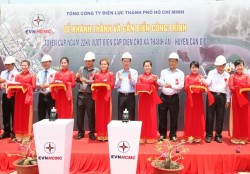 Khánh thành công trình cấp điện cho xã đảo Thạnh An