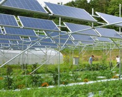 Ninh Thuận sẽ có DA điện mặt trời kết hợp sản xuất nông nghiệp