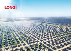 LONGi và Hexagon Peak ký thỏa thuận cung cấp pin mặt trời