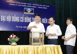 vqc to chuc dai hoi dong co dong thuong nien nam 2021