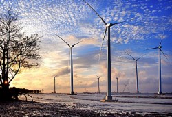 Phê duyệt Quy hoạch phát triển điện gió tỉnh Cà Mau