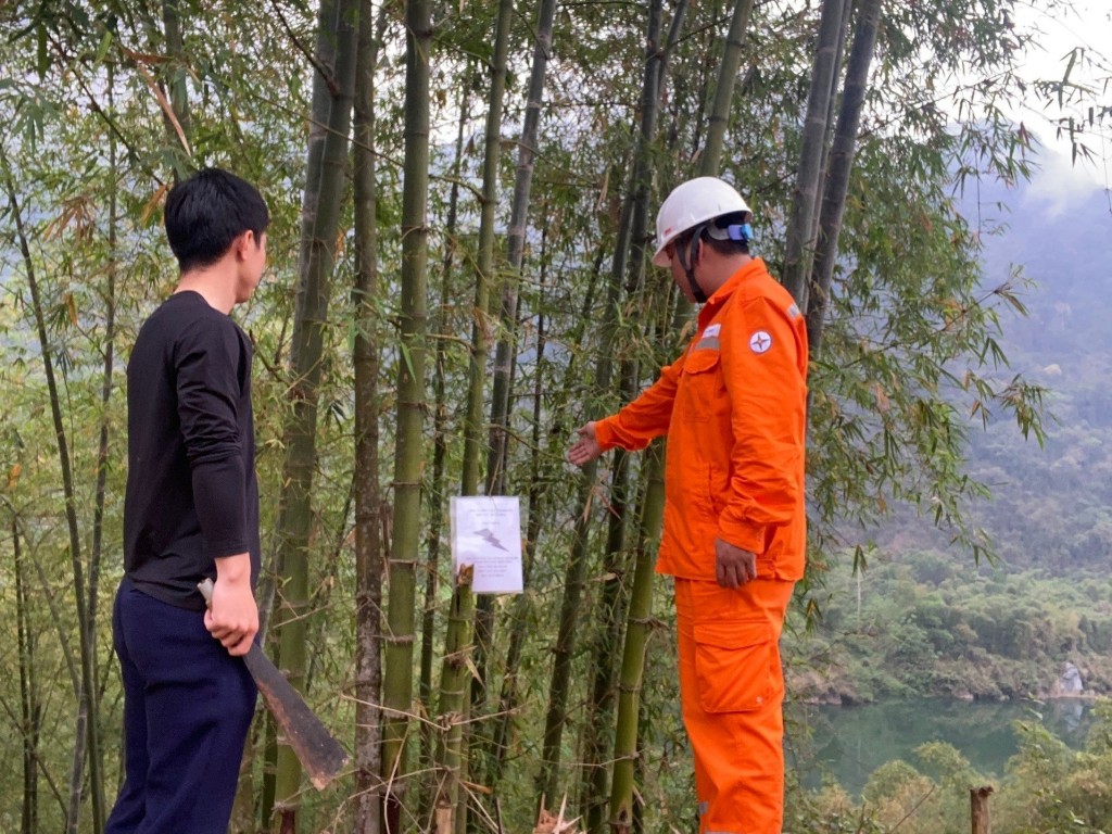 Hiệu quả từ việc đảm bảo hành lang an toàn lưới điện tại Thanh Hóa