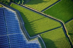 Đồng Tháp sẽ có dự án điện mặt trời trên đất lúa và hồ nước