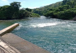 Thủy điện Hàm Thuận - Đa Mi: Cấp nước chống hạn hiệu quả mùa khô năm 2020