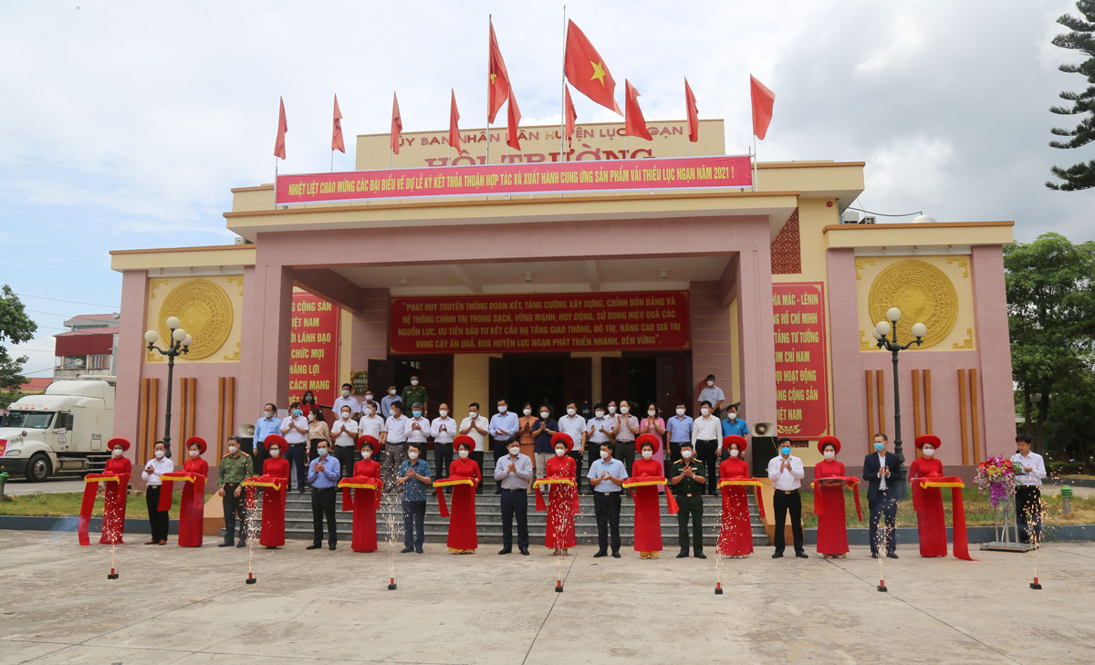 TKV hỗ trợ tiêu thụ gần 200 tấn vải thiều cho nông dân Bắc Giang