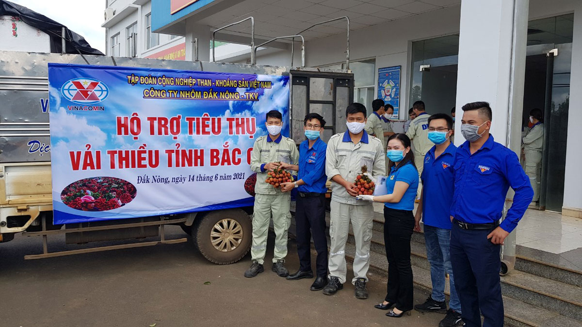 Các đơn vị thuộc TKV tích cực hỗ trợ tiêu thụ vải thiều cho tỉnh Bắc Giang