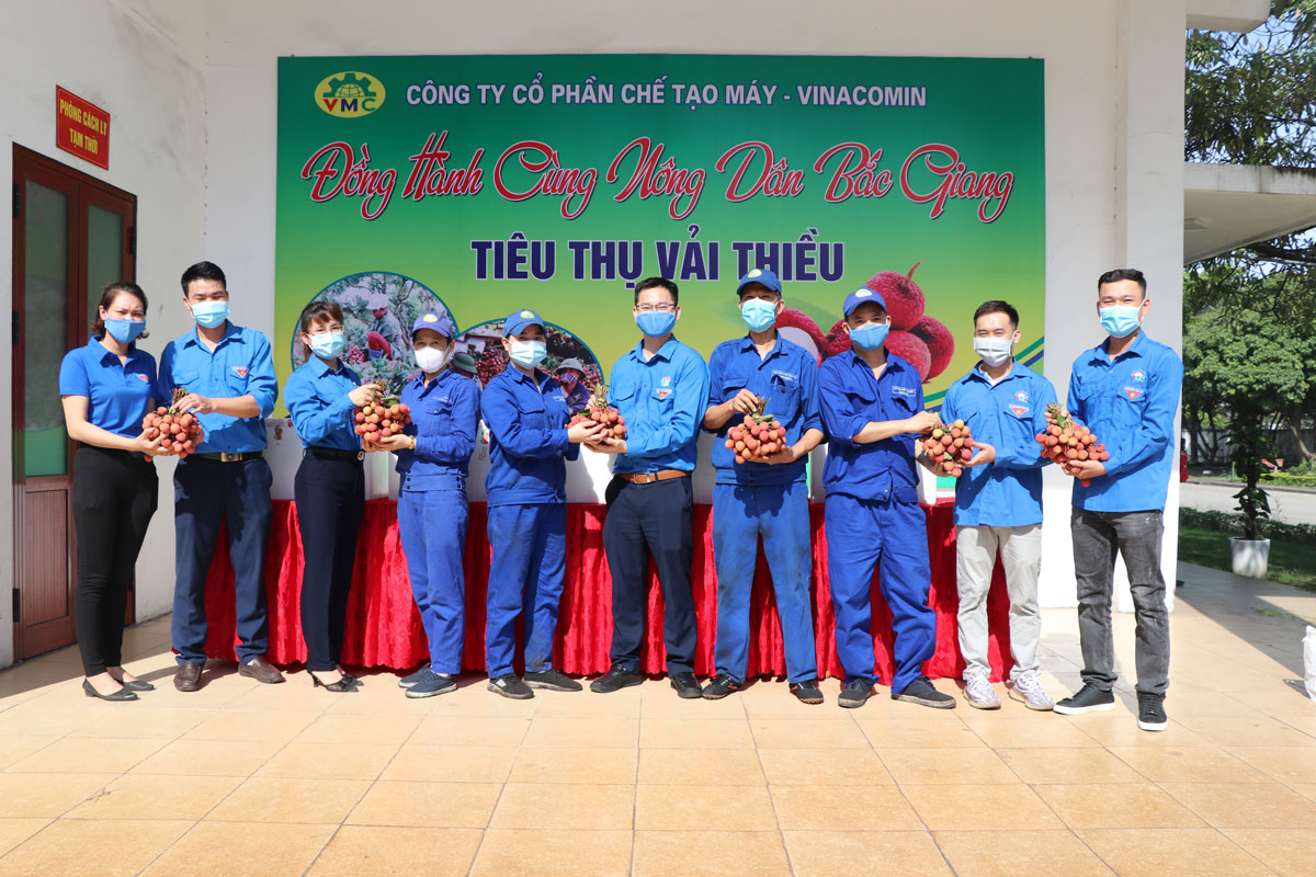 Các đơn vị thuộc TKV tích cực hỗ trợ tiêu thụ vải thiều cho tỉnh Bắc Giang