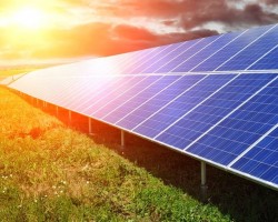 Cà Mau xin bổ sung dự án điện mặt trời 50MW vào quy hoạch