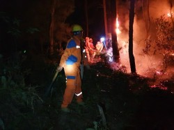 Điện lực Hương Sơn (Hà Tĩnh) căng mình bảo vệ lưới điện do cháy rừng