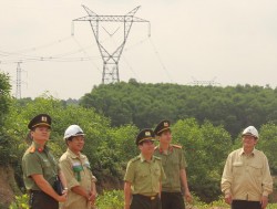 Truyền tải điện Quảng Trị: Nhiều giải pháp đảm bảo an toàn lưới điện