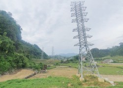 Giải phóng mặt bằng ĐZ 220 kV tại Lạng Sơn gặp nhiều vướng mắc