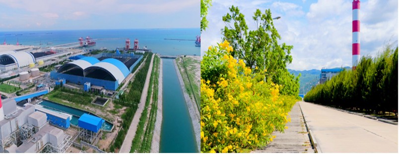 Nhiệt điện Vĩnh Tân: 10 năm không ngừng ‘xanh hóa môi trường’