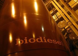 Hong Kong xây dựng nhà máy chuyển đổi dầu thải thành dầu diesel sinh học