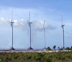 Điện gió Bạc Liêu cung cấp lên lưới điện Quốc gia 3 triệu kWh