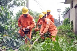 EVN HANOI - khách hàng: Cùng nhận thức về an toàn lưới điện