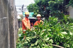 EVN HANOI tăng cường đảm bảo an toàn lưới điện cao áp