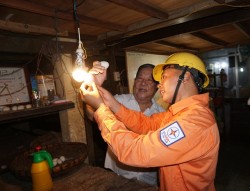 Sử dụng điện tiết kiệm và hiệu quả ở lò ấp trứng tại Trà Vinh