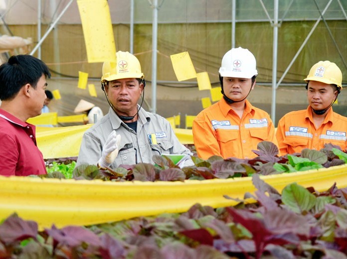 Tiết kiệm điện trong sản xuất nông nghiệp tại Lâm Đồng