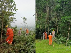 Điện lực Hương Sơn: Vượt khó, đảm bảo cấp điện ổn định mùa mưa bão