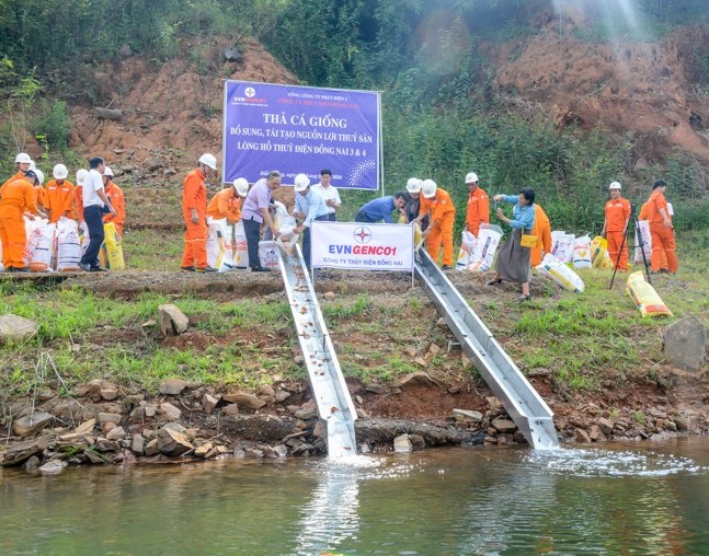 Bổ sung, tái tạo nguồn lợi thủy sản lòng hồ Thủy điện Đồng Nai 3 và 4