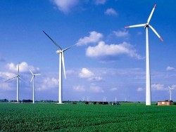 Tập đoàn Đức muốn đầu tư dự án điện gió ở Sóc Trăng