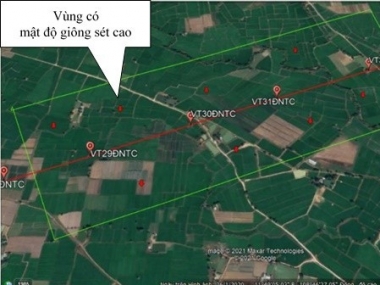 Ứng dụng phần mềm ‘Google Earth Pro’ tại Truyền tải điện Ninh Thuận