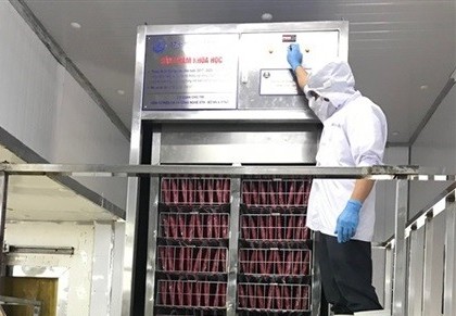 Cấp đông siêu tốc bằng chất tải lạnh lỏng giúp tiết kiệm năng lượng
