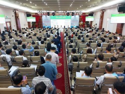 Kiến nghị chính sách phát triển nguồn điện khí, điện gió, mặt trời tại Việt Nam