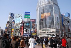 Nhật Bản bắt đầu áp dụng thuế môi trường