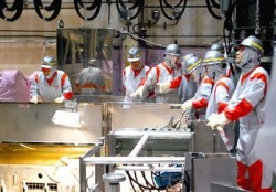 Lấy thành công mẫu nước nhiễm xạ của Nhà máy Fukushima 1