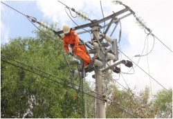 Tập trung khắc phục các sự cố lưới điện sau bão số 11