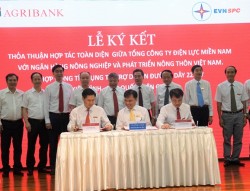 Ký hợp đồng tài trợ dự án đường dây 220kV Kiên Bình - Phú Quốc