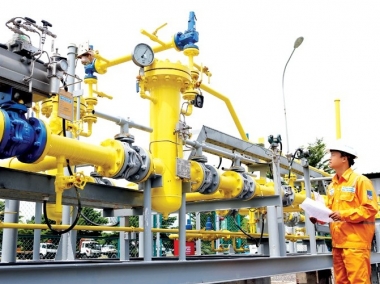 Tokyo Gas Asia tăng vốn sở hữu tại PGD lên 25%