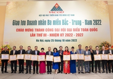 CADI-SUN và Chủ tịch kiêm Tổng giám đốc Phạm Lương Hòa nhận bằng khen của VCCI