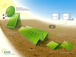 Phê duyệt danh mục dự án tăng trưởng xanh ở Việt Nam