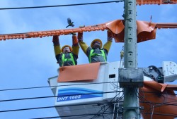 Ra mắt Đội thi công sửa chữa điện nóng Bình Dương