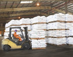 Năm 2019, PVFCCo cung ứng gần 1 triệu tấn phân bón hóa chất