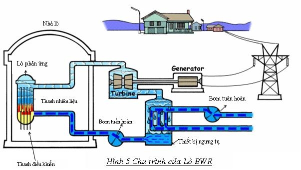 The Boiling Water Reactor (BWR)