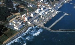 Nhà máy điện hạt nhân Fukushima lại gặp sự cố vì... chuột