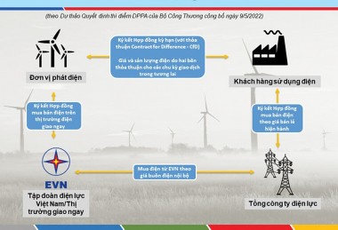 Mua bán điện trực tiếp - Kinh nghiệm quốc tế, đề xuất cho trường hợp Việt Nam