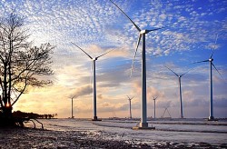 Nhà máy điện gió Bạc Liêu đã hòa vào lưới 31 triệu kWh
