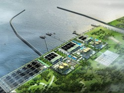 Rà soát Quy hoạch điện ở Trà Vinh và Trung tâm Điện lực Duyên Hải