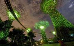 Vườn "siêu cây năng lượng mặt trời” kỳ ảo ở Singapore