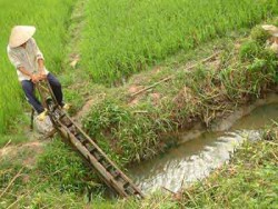 Quảng Nam kiến nghị điều vận các hồ thủy điện phục vụ sản xuất và đời sống vùng hạ du
