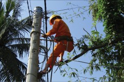 PC Nghệ An chủ động bảo vệ hành lang an toàn lưới điện