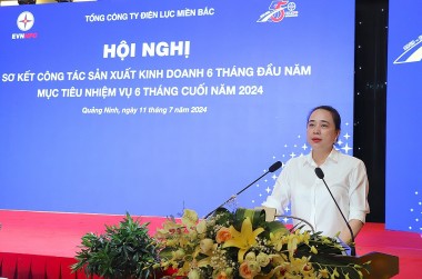 Tổng công ty Điện lực miền Bắc hoàn thành nhiệm vụ 6 tháng đầu năm trong thách thức