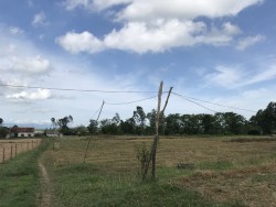 Nông thôn mới: Lưới điện "thả rông"