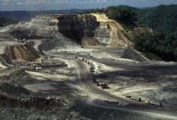 Giá than thế giới giảm sâu nhất trong 12 năm