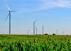 Đề nghị Bỉ hỗ trợ Việt Nam phát triển năng lượng tái tạo